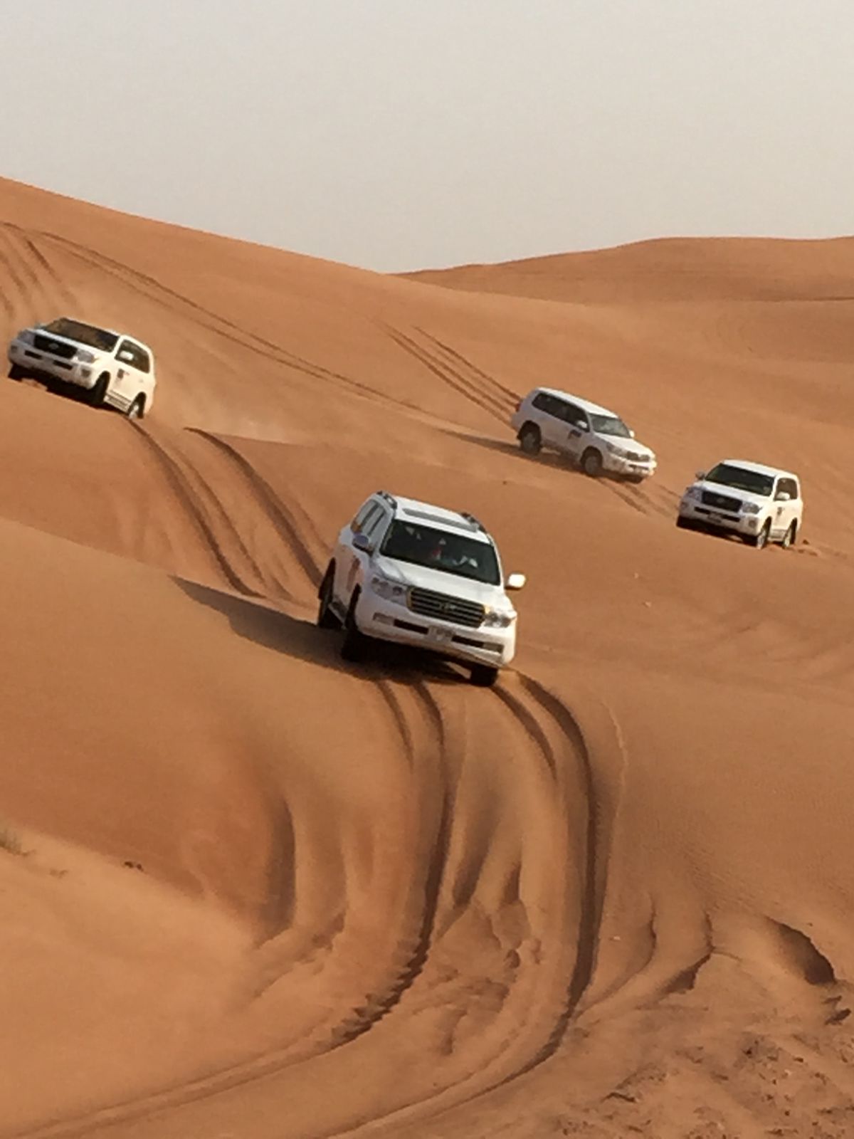 Desert safari